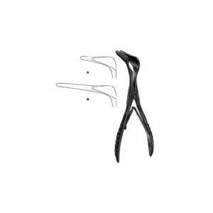 Rhinology