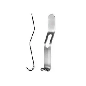 Oral Instrument