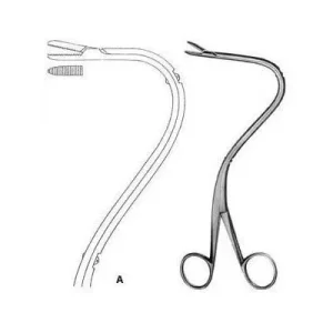 Urology