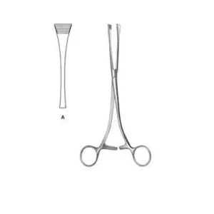 Obstetrics