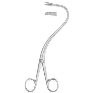 Elsasser Nephrostomy Forceps 20cm/8" (25-607-20)