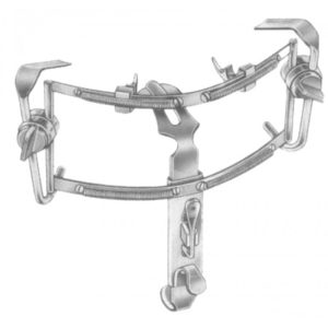 Dingmann Mouth Gag Only (19-522-10)