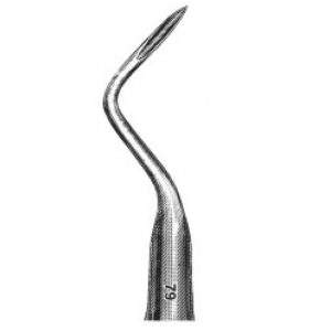 Elevators Root Tip Fig. Del 79 (136)