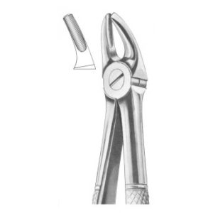 Extracting Forceps English Pattern Fig. 7 Upper premolars (107)